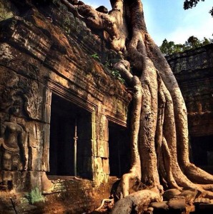 angkor6